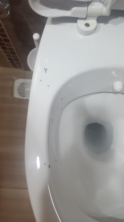 Zimmer Side Alegria Hotel & Spa - Adults only +16