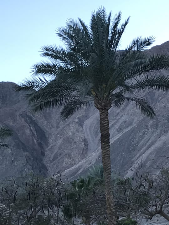 Ausblick Happy Life Village