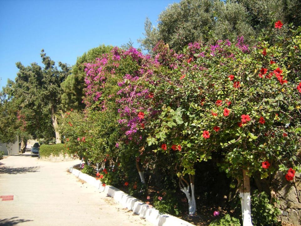 Hotel Garten Hotel Kakkos Bay