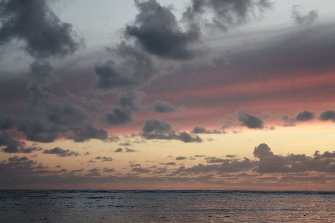 Wow Catalonia Punta Cana - All Inclusive