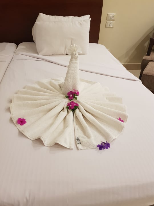 Zimmer Shams Prestige Abu Soma-Adults Only