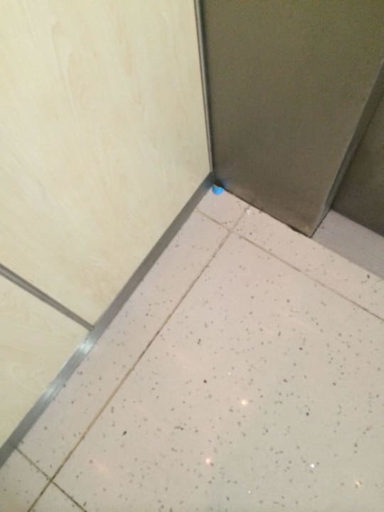 Sauberkeit PALOMA Perissia