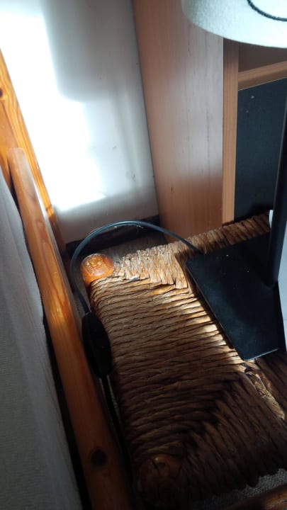 Spinne neben Bett Aparthotel Leinegarten