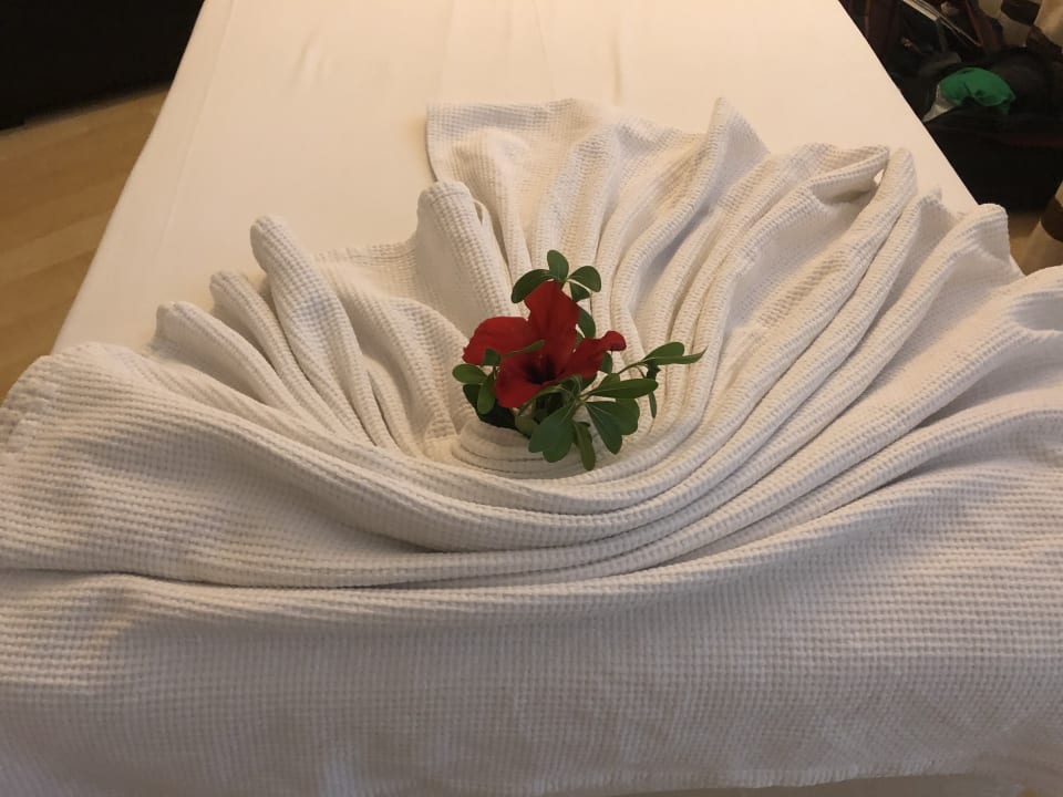 Zimmer Hotel Orfeus Park