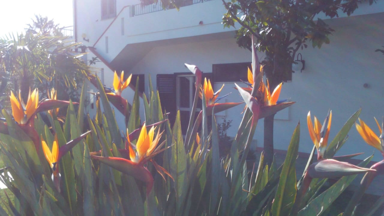 Il Gattopardo Hotel Il Gattopardo