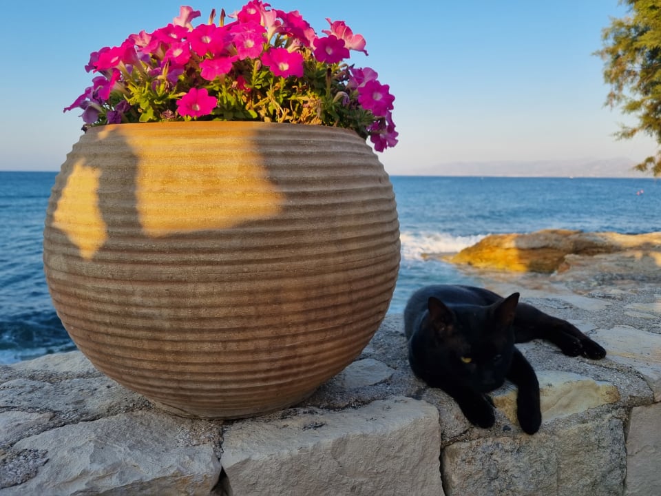 Sonstiges Creta Maris Resort