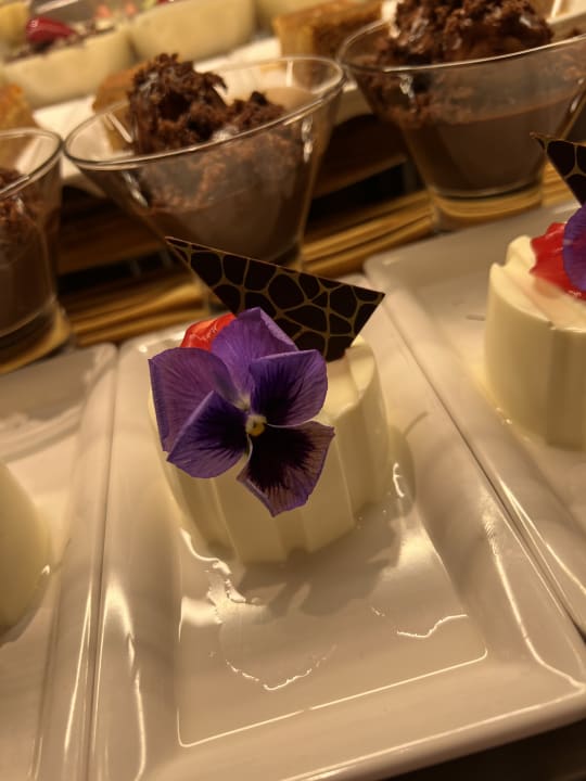 Gastro TUI BLUE Seno - Adults Only