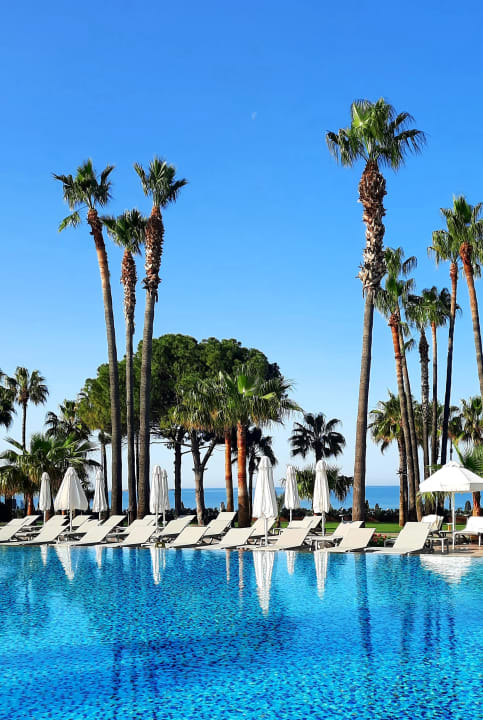 Pool Acanthus Cennet Barut Collection