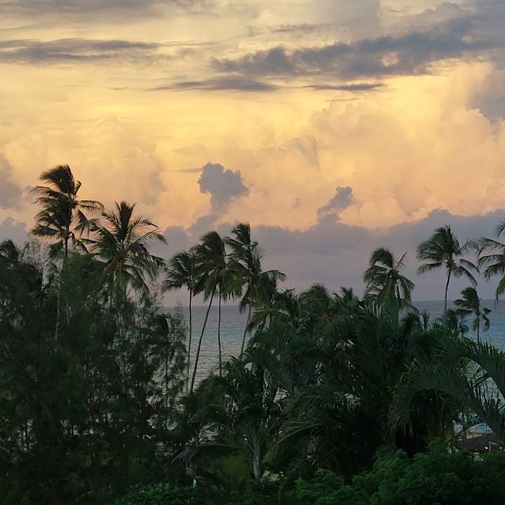 Ausblick TUI Blue Bahari Zanzibar