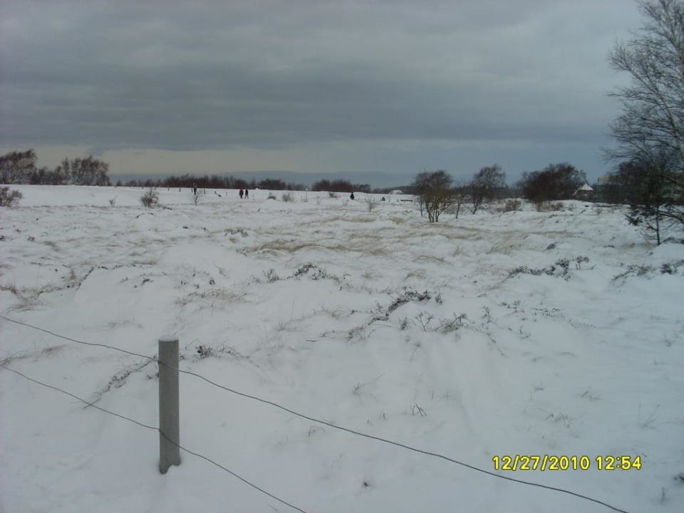 Dünen - Landschaftschutzgebiet Ferienwohnungen Ferienpark Weissenhäuser Strand