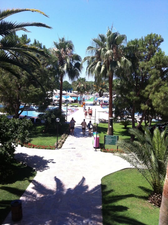Pool Arum Barut Collection