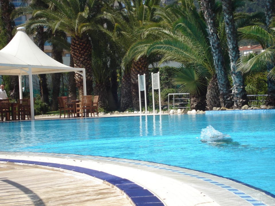 Ogród przy basenie TUI BLUE Grand Azur