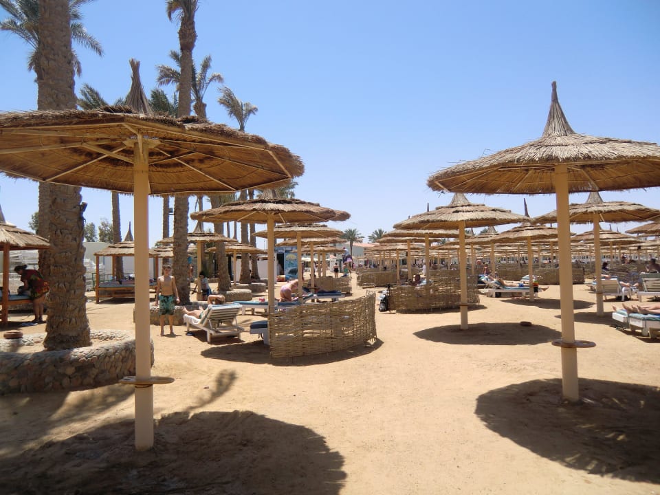 Liegefläche am Strand Pickalbatros Jungle Aqua Park Resort - Neverland Hurghada