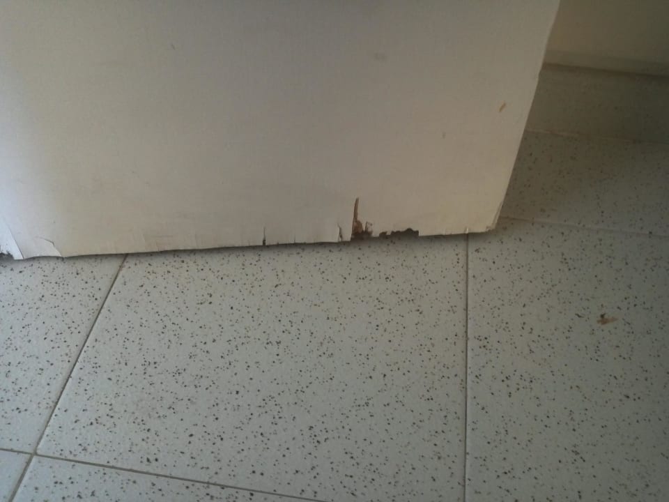 So sehen Zimmertüren im Zimmer 2505 aus.  Hotel Club Cala Romani