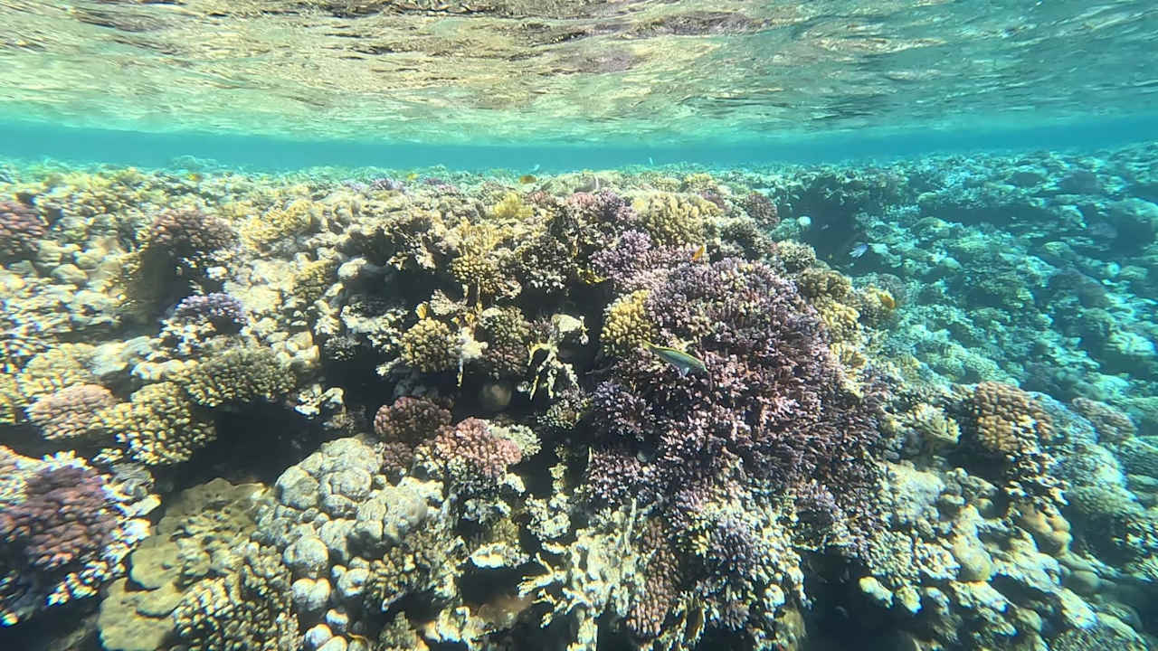 Strand Aldiana Club Naga Bay