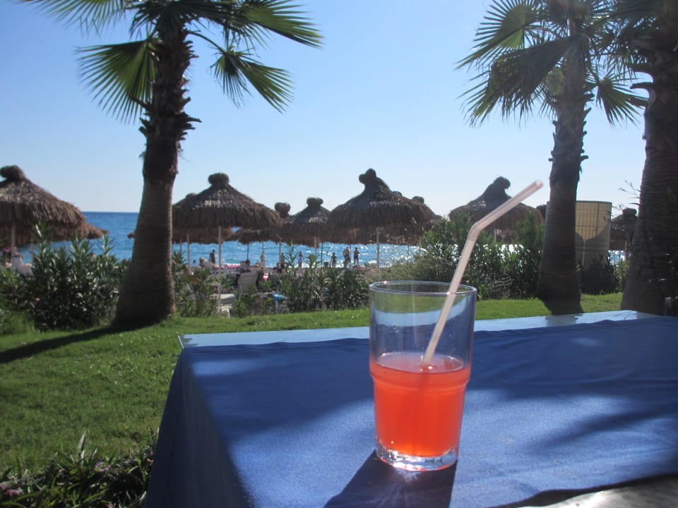 Hotel Q Premium Resort Q Premium Resort