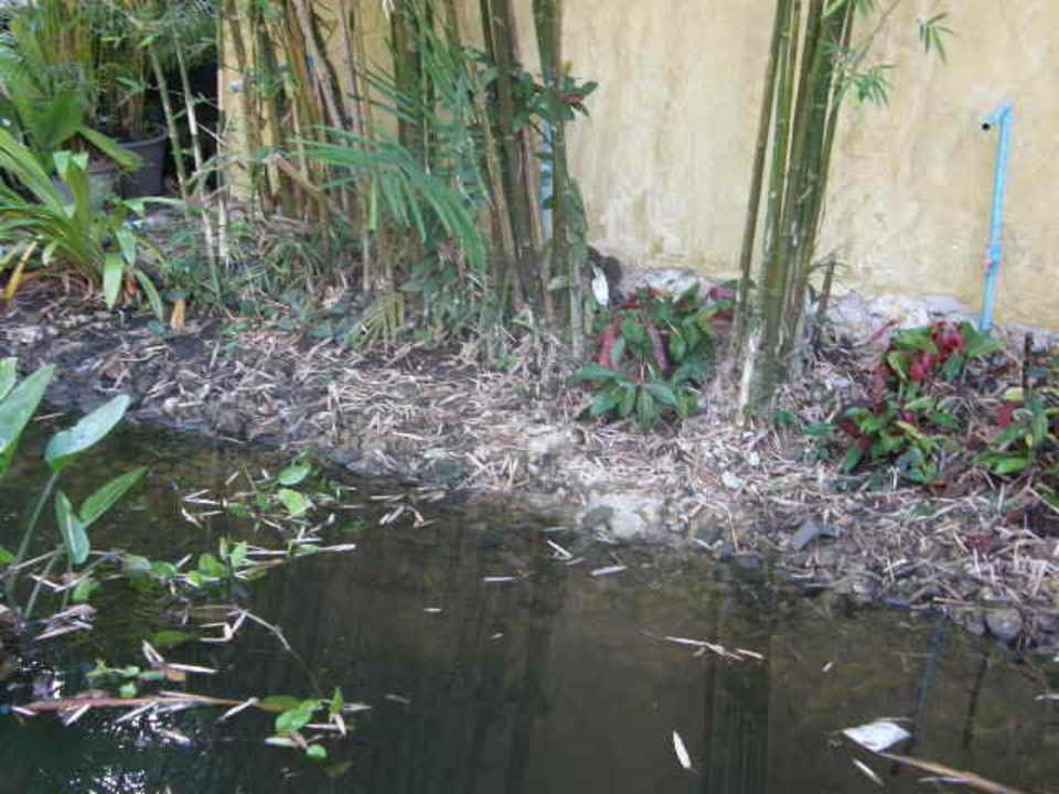 Terrasse / Umgebung Centara Koh Chang Tropicana Resort