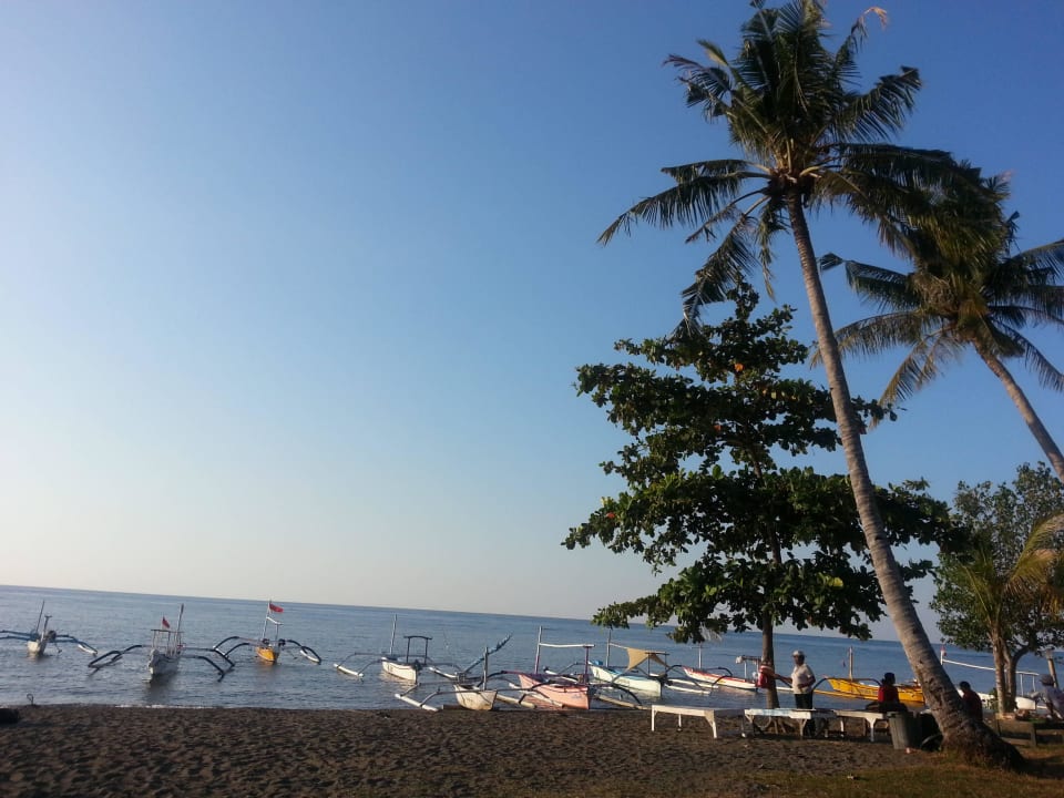 Strand direkt nach der Hotelanlage Hotel Aneka Lovina