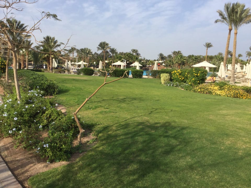 Ein kleiner Teil der großen Anlage Steigenberger ALDAU Beach Hotel