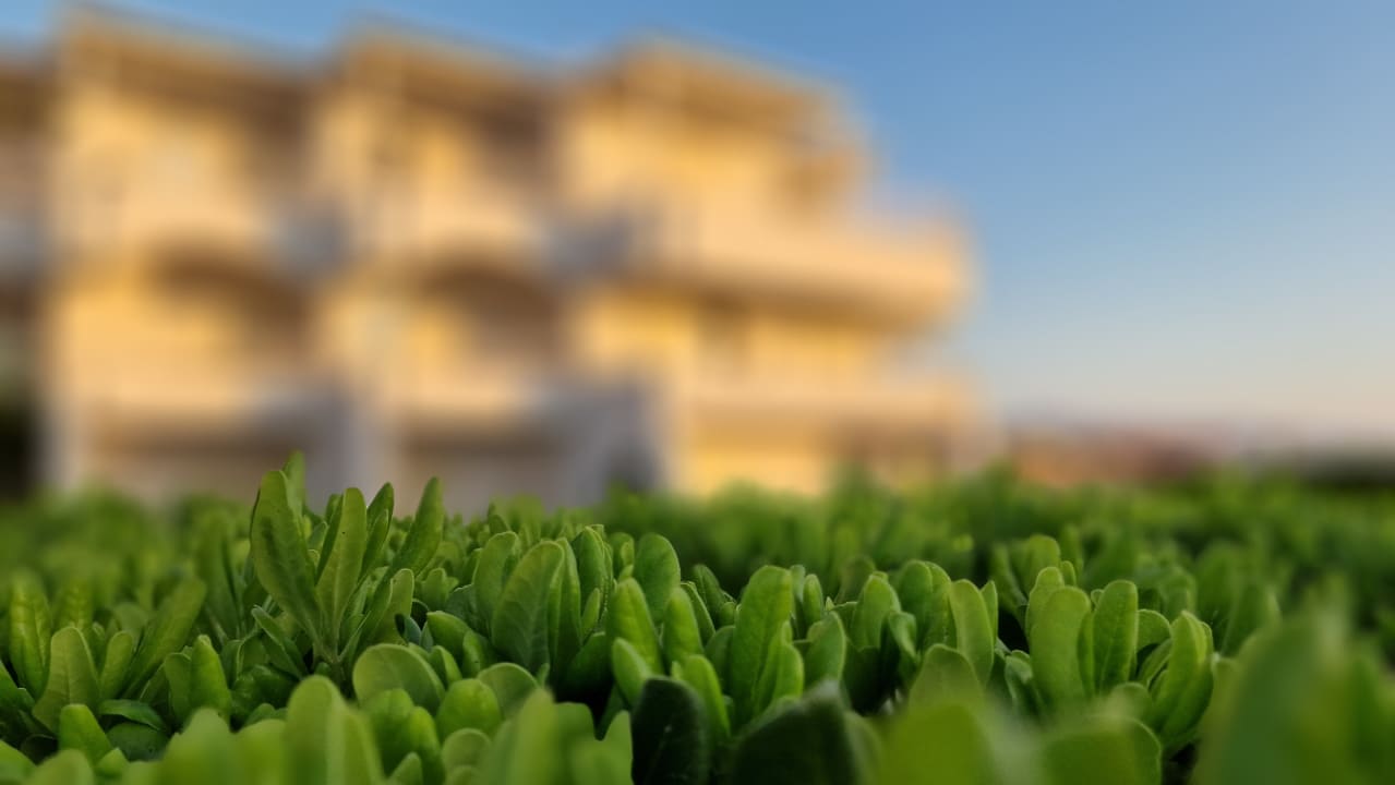 Außenansicht Apollonia Beach Resort & Spa