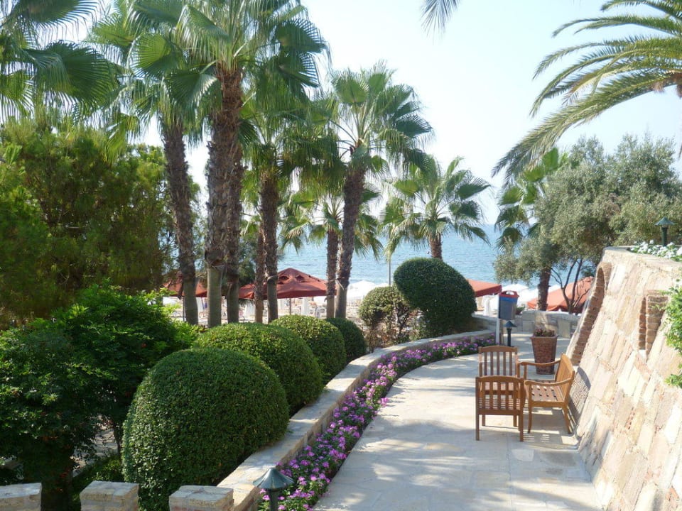 Strandbar Arum Barut Collection