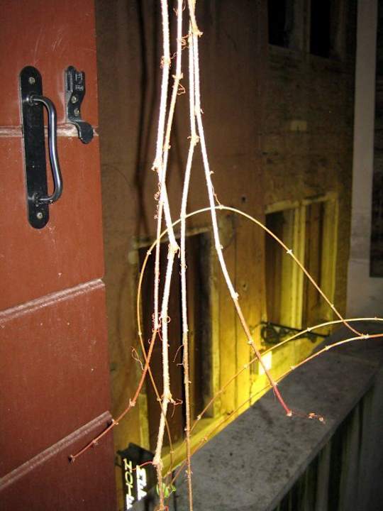 Ausblick Hotel Becher