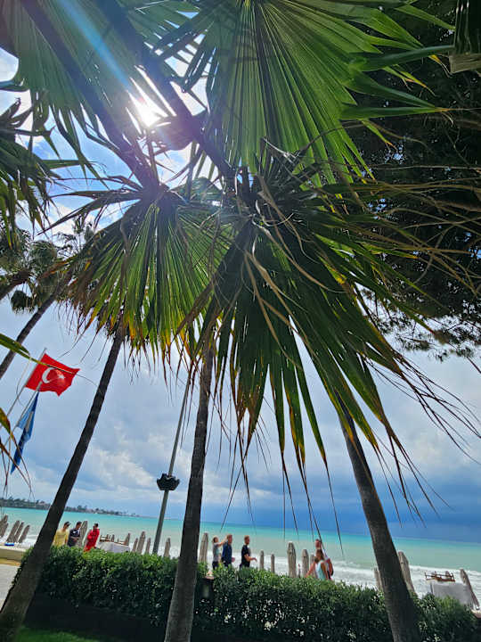 Gartenanlage Acanthus Cennet Barut Collection