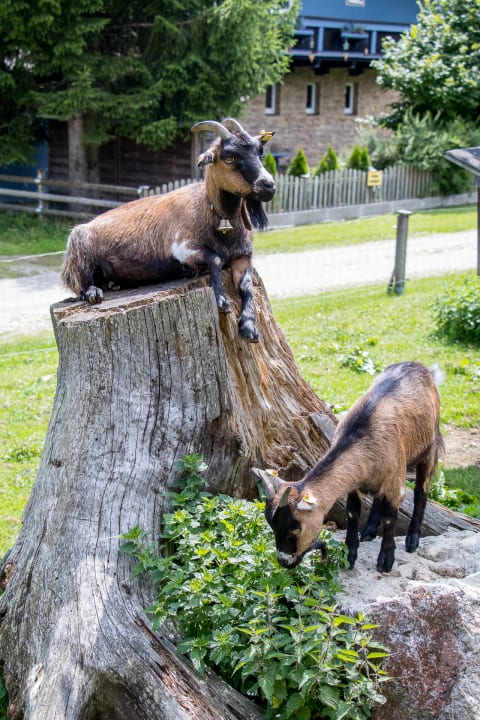 Sonstiges Bauernhof Christernhof