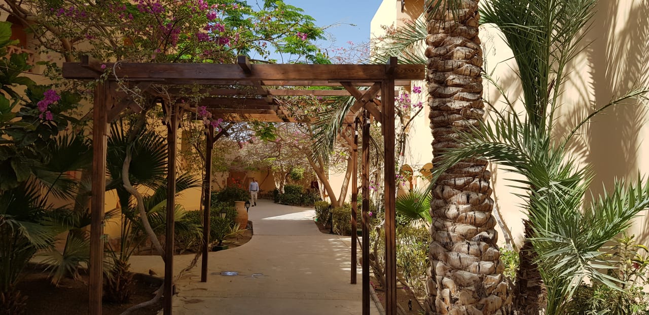 Gartenanlage Steigenberger Coraya Beach - Adults only