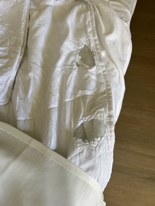 Zimmer Serenade All Suites - Adults Only Resort