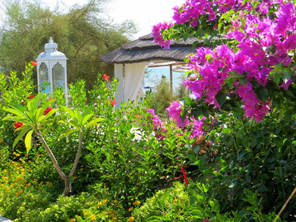 Hotelanlage Aquagrand Artistic Luxury Beach Resort - Adults only