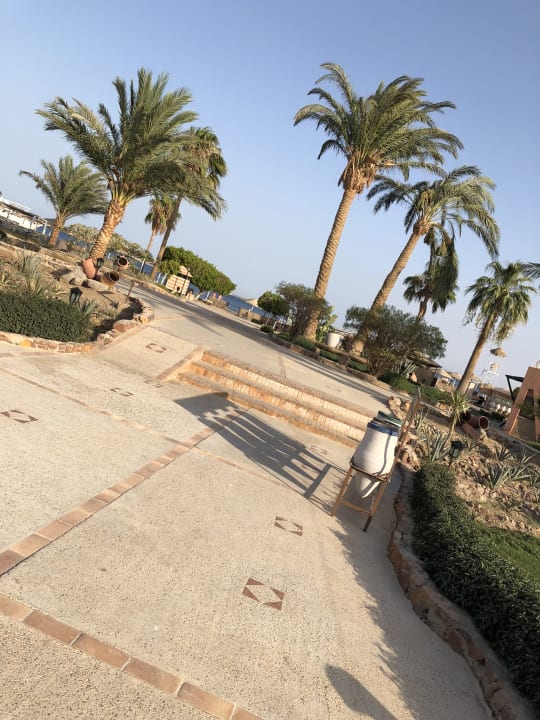 Gartenanlage Eagles Paradise Abu Soma