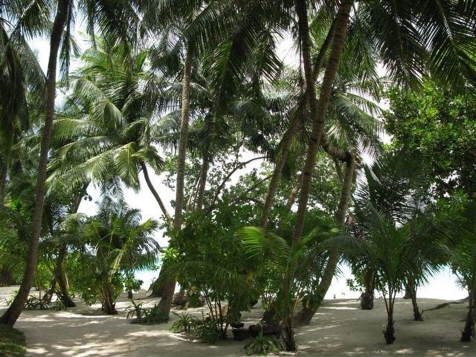 Ausblick von unserem Bungalow Kuramathi Maldives