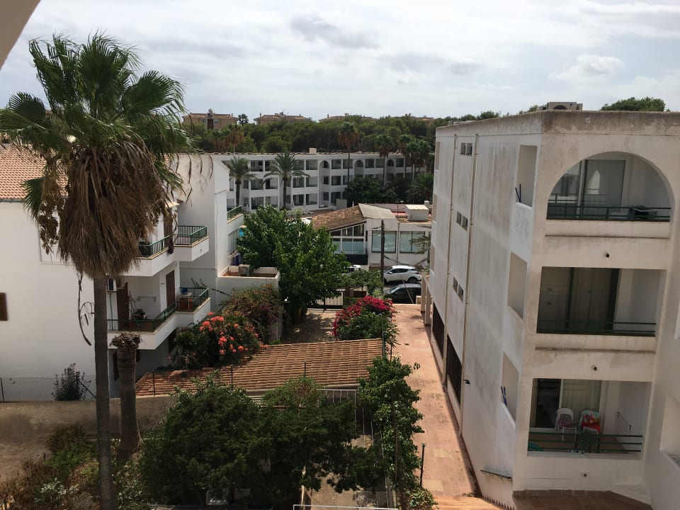 Ausblick Mallorca Cecilia Apartamentos