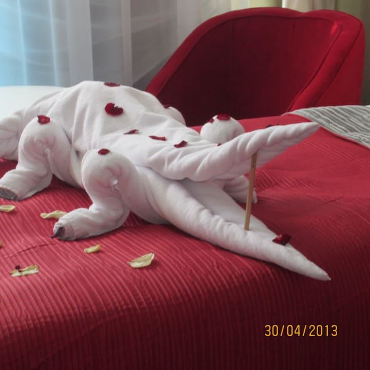 Jeden Tag etwas Neues Vikingen Infinity Resort & Spa