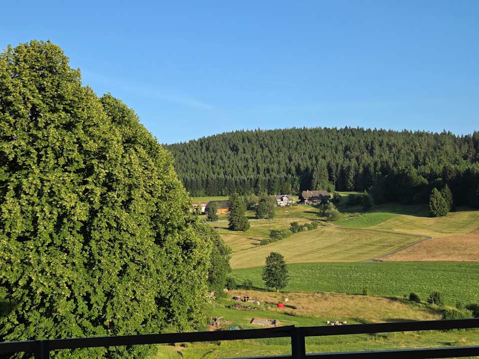 Ausblick derWaldfrieden naturparkhotel