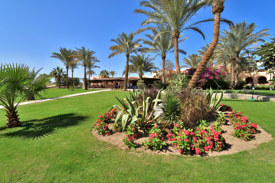 Gartenanlage Steigenberger Coraya Beach - Adults only