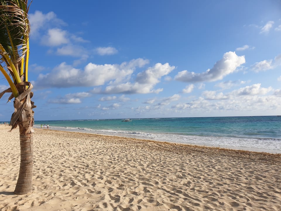 Strand Hotel Riu Palace Punta Cana