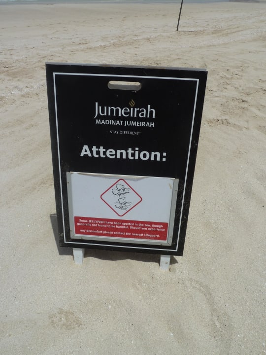 Warnung Jellyfish Jumeirah Mina Al Salam