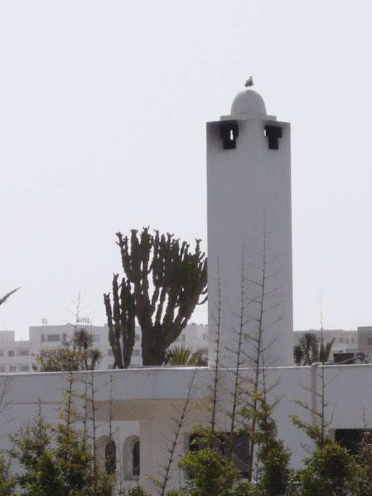 Ausblick Atlas Amadil Beach Hotel