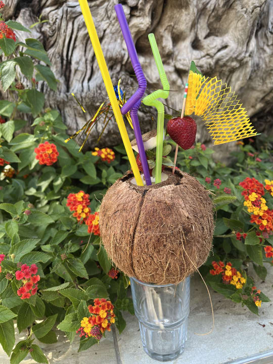 Gastro Dream World Aqua Hotel