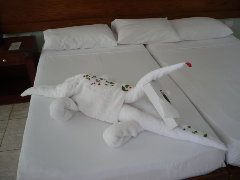 Lustiges Tier feat. Zimmerboy - Thanks! Golden Beach Resort