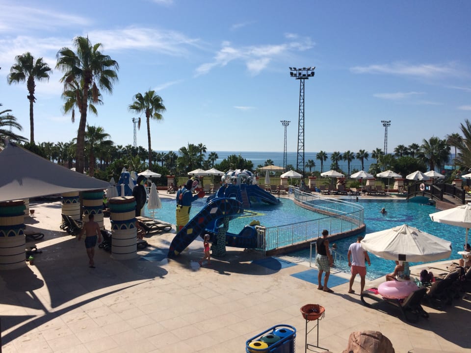 Sport & Freizeit Kamelya Aishen Club