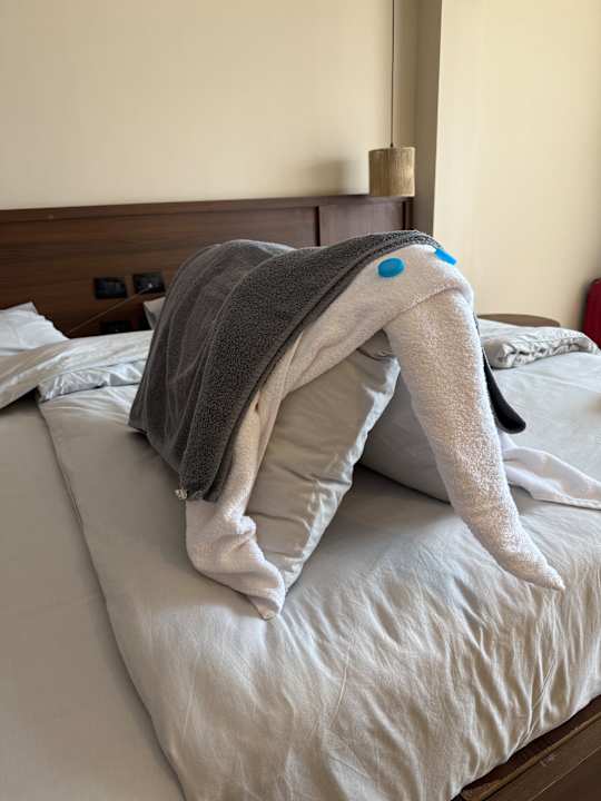 Zimmer ananea Hurghada