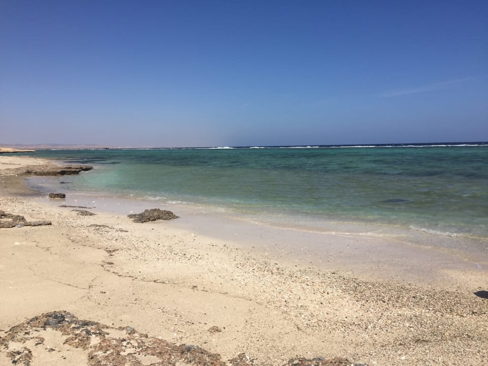 Strand Pickalbatros Sea World Resort - Marsa Alam