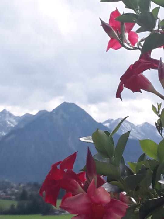 Außenansicht Familien- und Wellnesshotel Viktoria