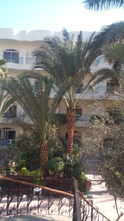Garten Bella Vista Resort Hurghada