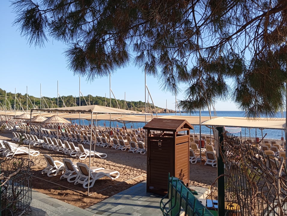 Strand Arycanda Kirman Premium