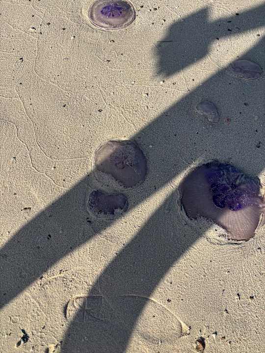 Außenansicht Novotel Marsa Alam Beach Resort