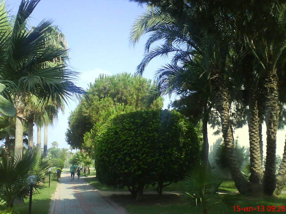 MC Park Resort Hotel & Spa  MC Beach Park Resort Hotel